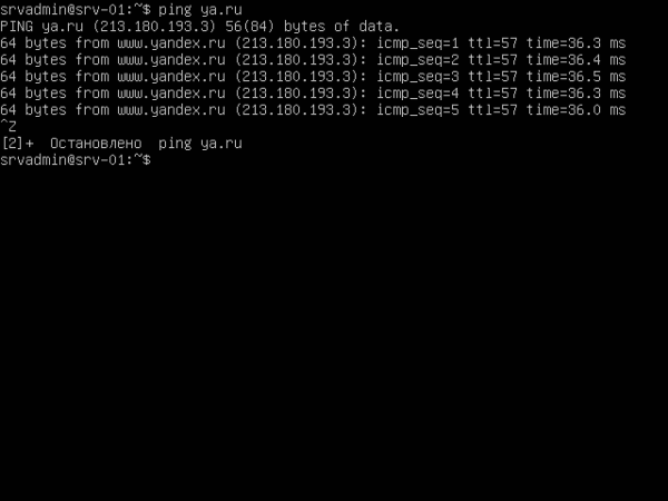 Ubuntu Server 14041 ustanovka 31