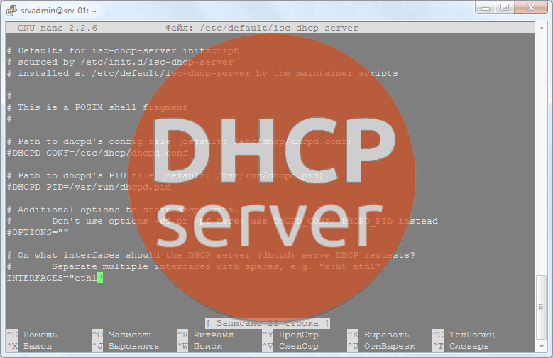 установка dhcp сервера ubuntu
